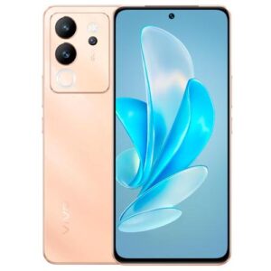 Vivo Y29